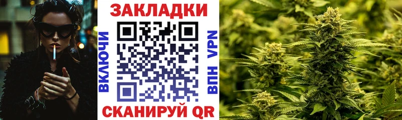 Где найти наркотики Ельня KRAKEN tor  КЕТАМИН  Cocaine  ГАШИШ  Каннабис  МЕФ  APVP 