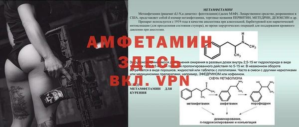 ПСИЛОЦИБИНОВЫЕ ГРИБЫ Вязьма