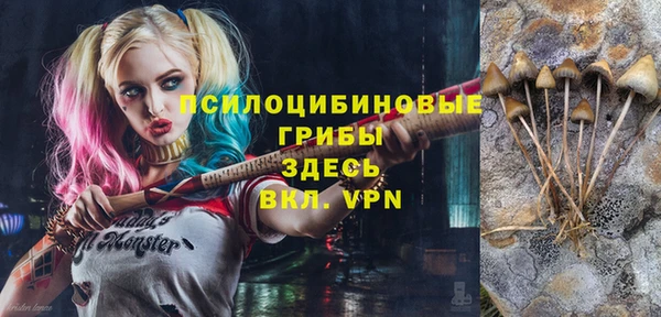 PSILOCYBIN Вяземский