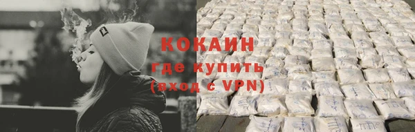 PSILOCYBIN Вяземский