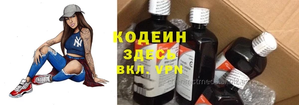 PSILOCYBIN Вяземский