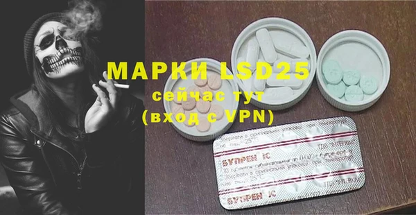 стафф Покачи