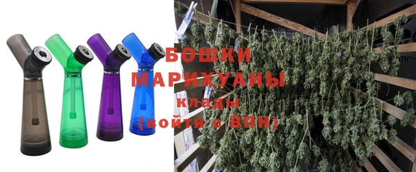 ПСИЛОЦИБИНОВЫЕ ГРИБЫ Вязьма