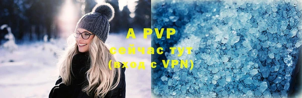 PSILOCYBIN Вяземский