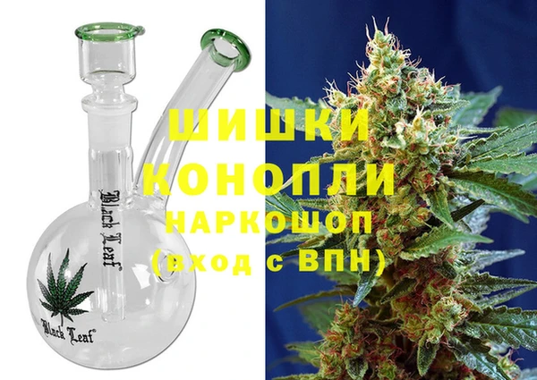 PSILOCYBIN Вяземский