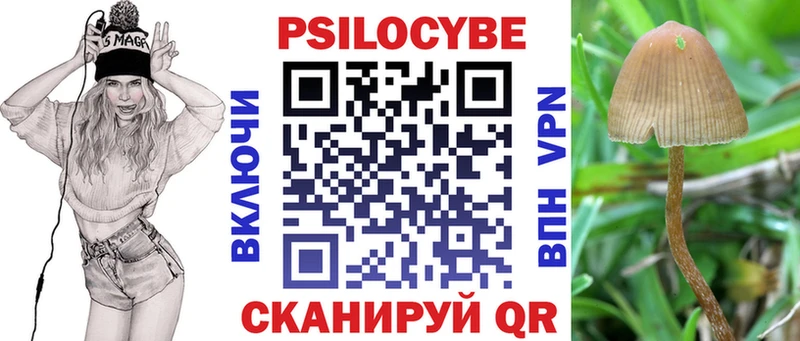 цена   Ельня  Галлюциногенные грибы Psilocybine cubensis 