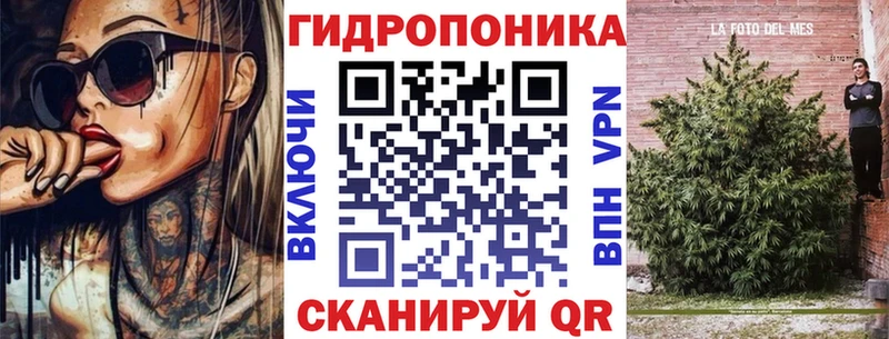 Шишки марихуана сатива Ельня